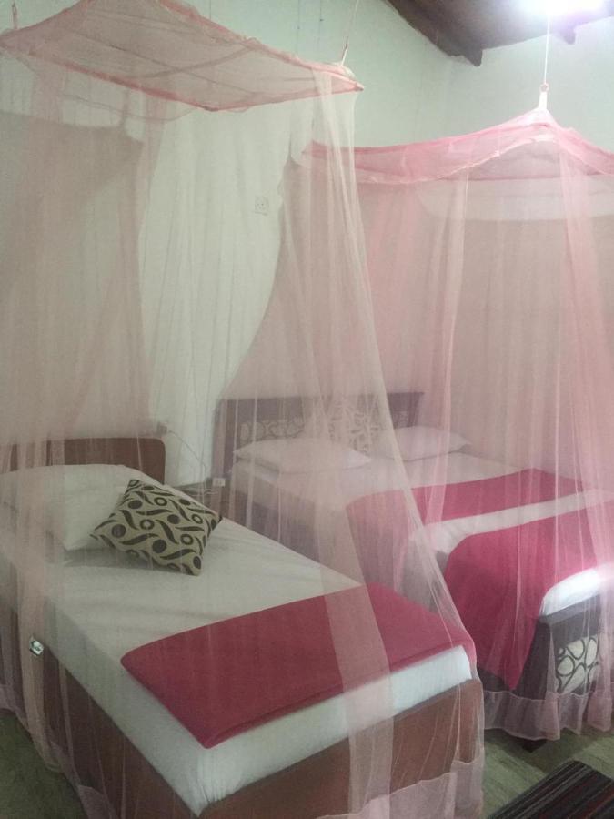 Silent Nest Bed & Breakfast เอลลา ภายนอก รูปภาพ