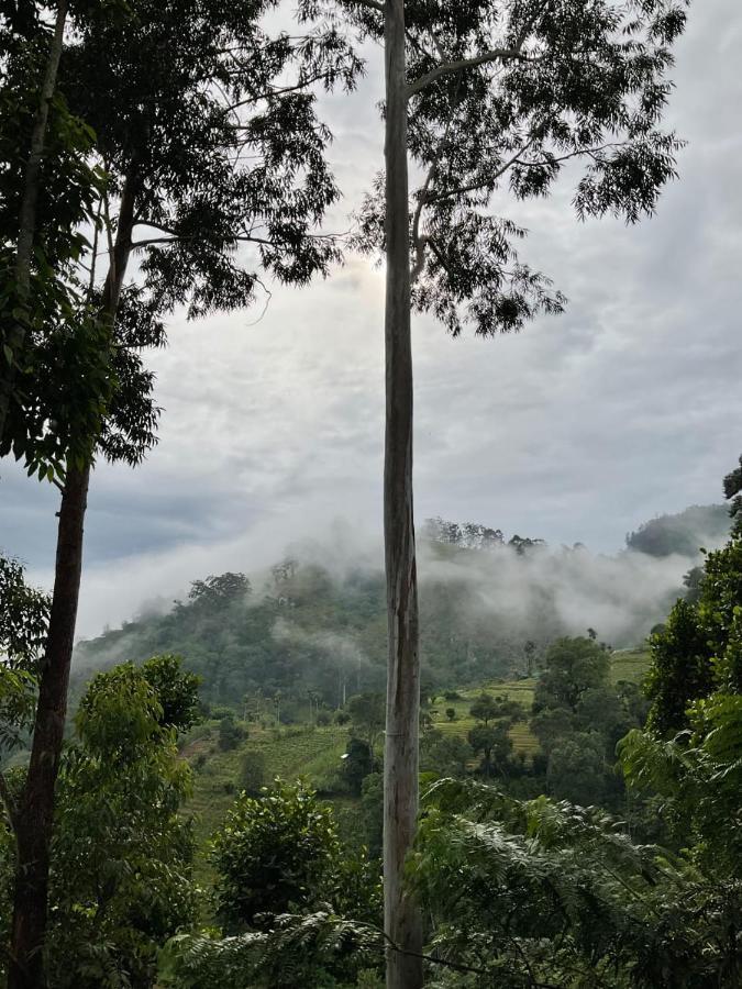 Silent Nest Bed & Breakfast เอลลา ภายนอก รูปภาพ