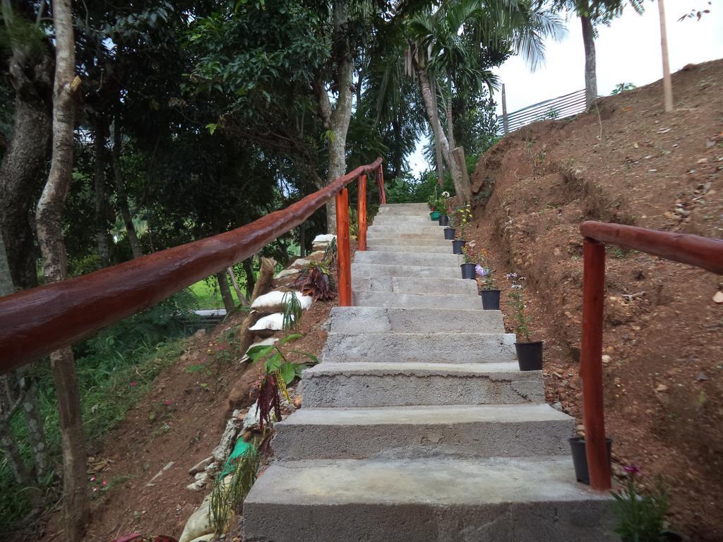 Silent Nest Bed & Breakfast เอลลา ภายนอก รูปภาพ