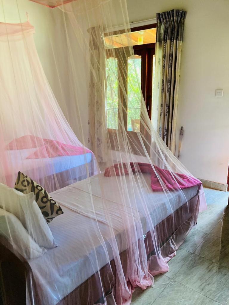 Silent Nest Bed & Breakfast เอลลา ภายนอก รูปภาพ