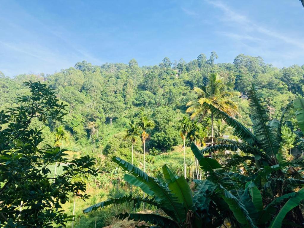 Silent Nest Bed & Breakfast เอลลา ภายนอก รูปภาพ