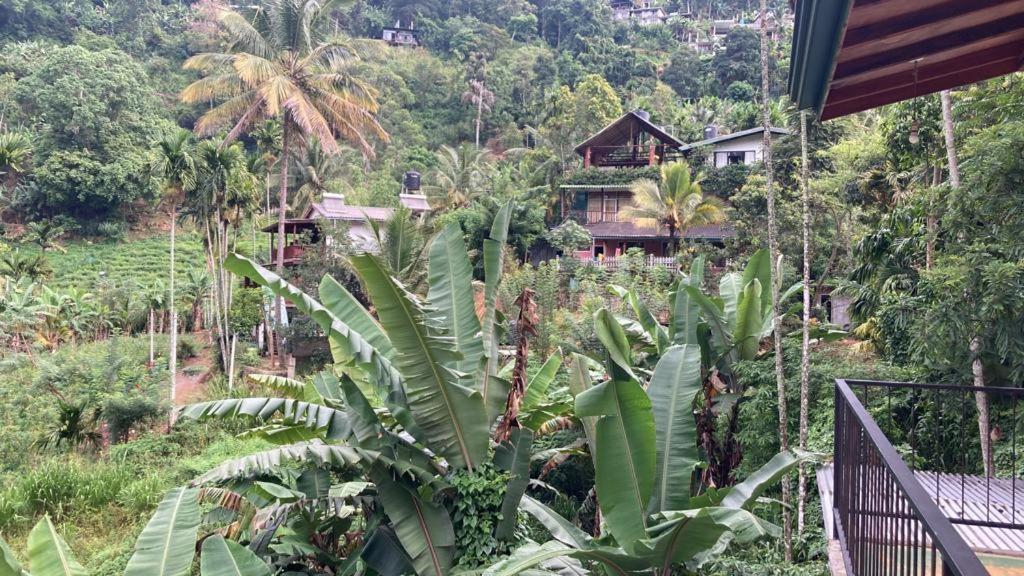 Silent Nest Bed & Breakfast เอลลา ภายนอก รูปภาพ